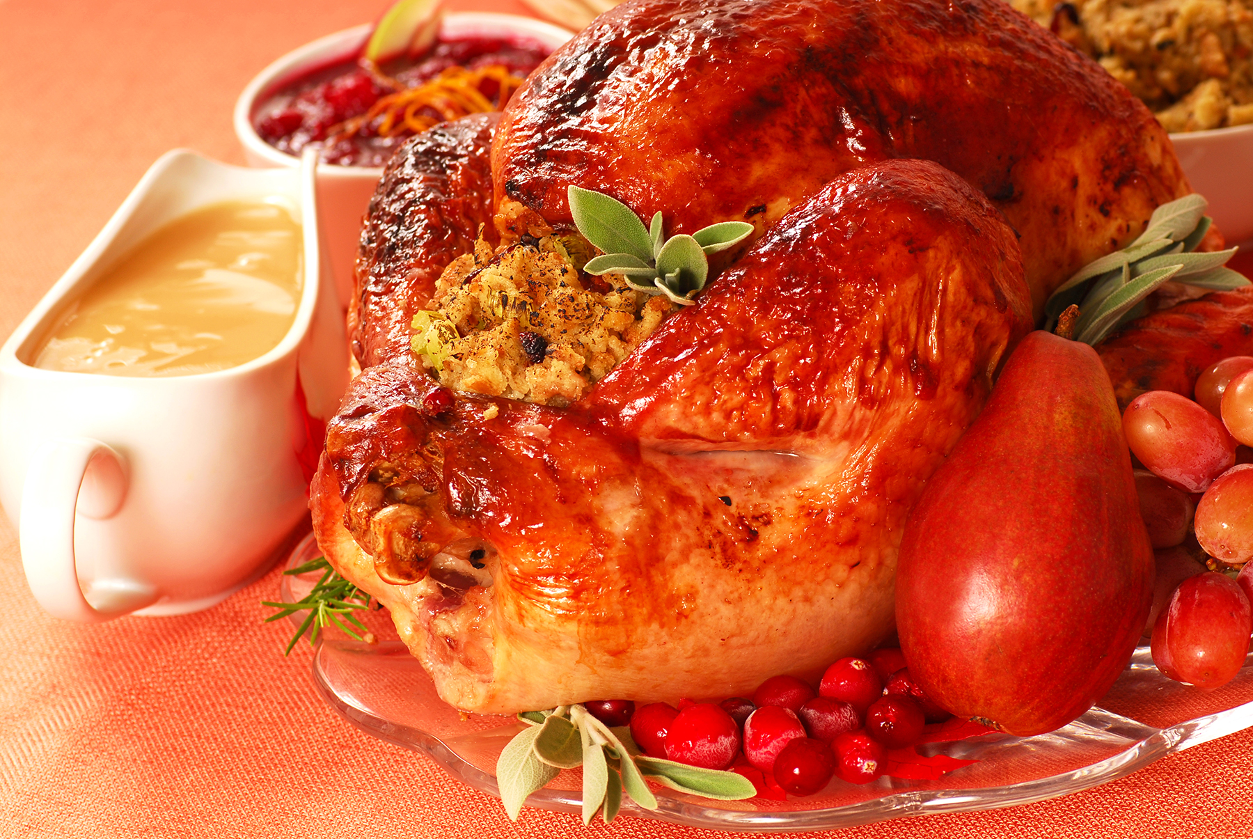 Turkey with stuffing, gravy, cranberry sauce with fresh fruit