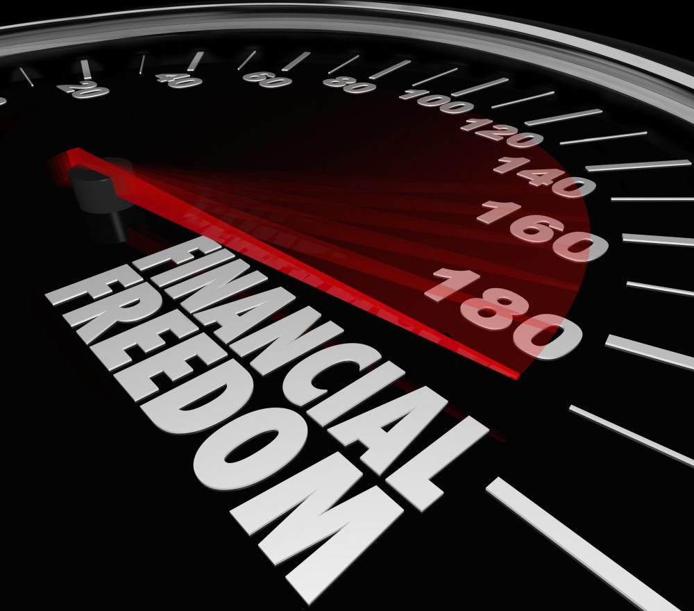 Financial Freedom Speedometer Earning Income Money Savings