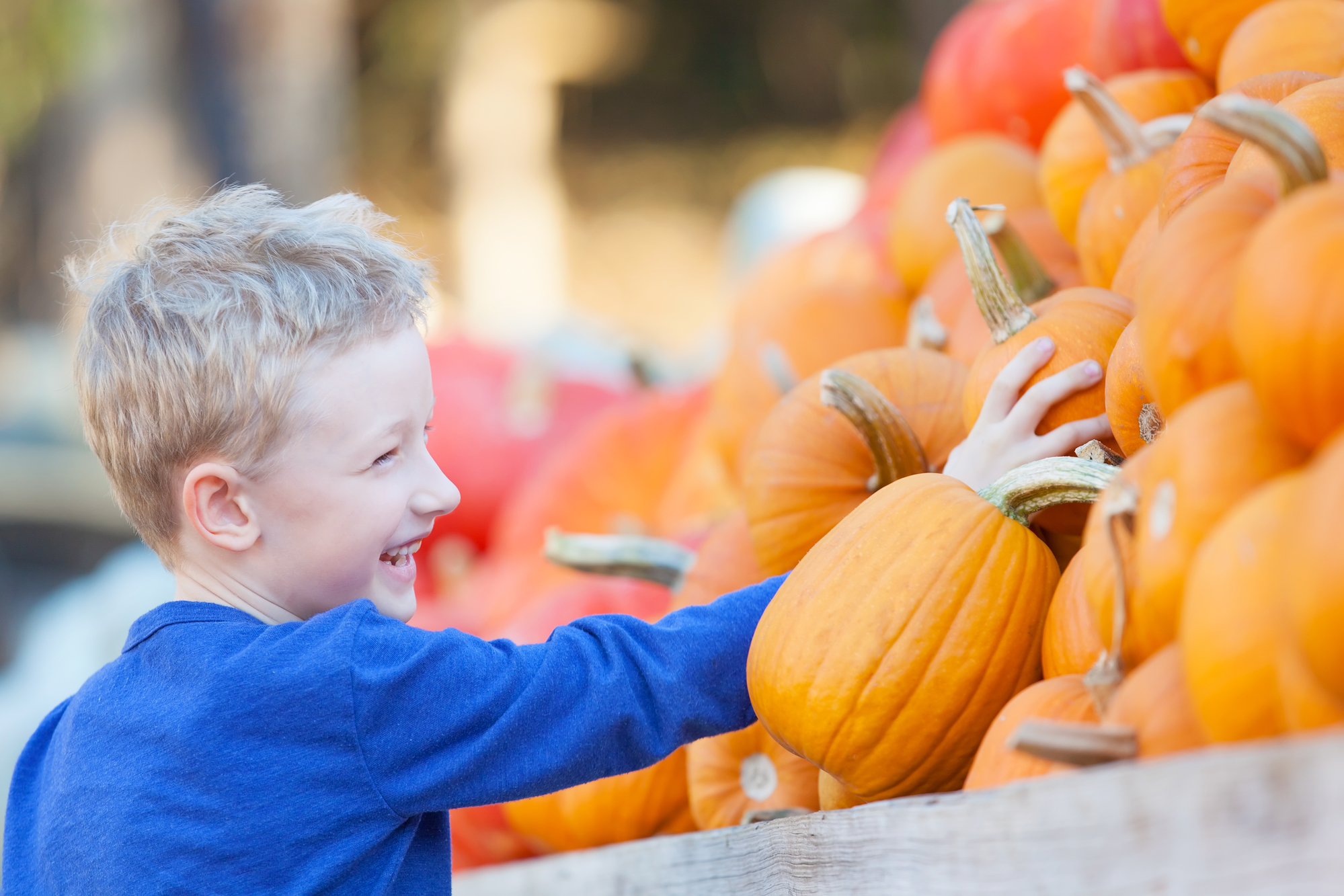 kid at a pumpkin patch