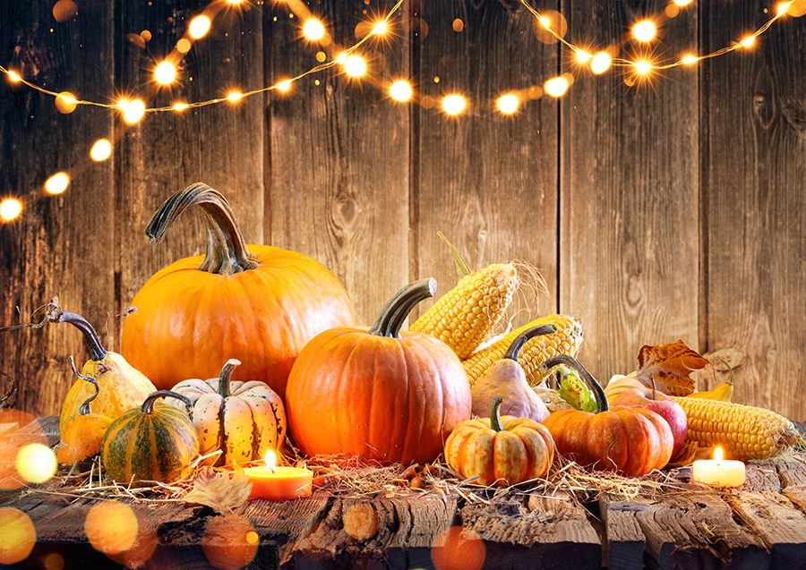 pumpkin and lights display